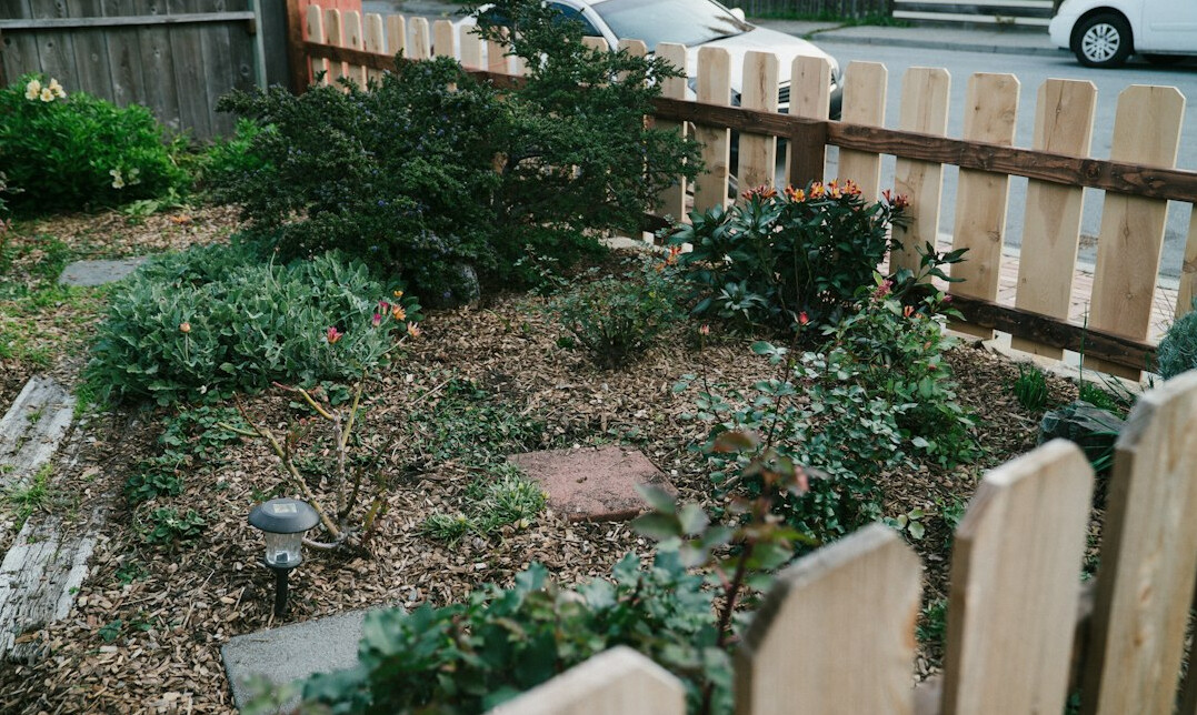 Small raised vegetable garden bed in a backyard