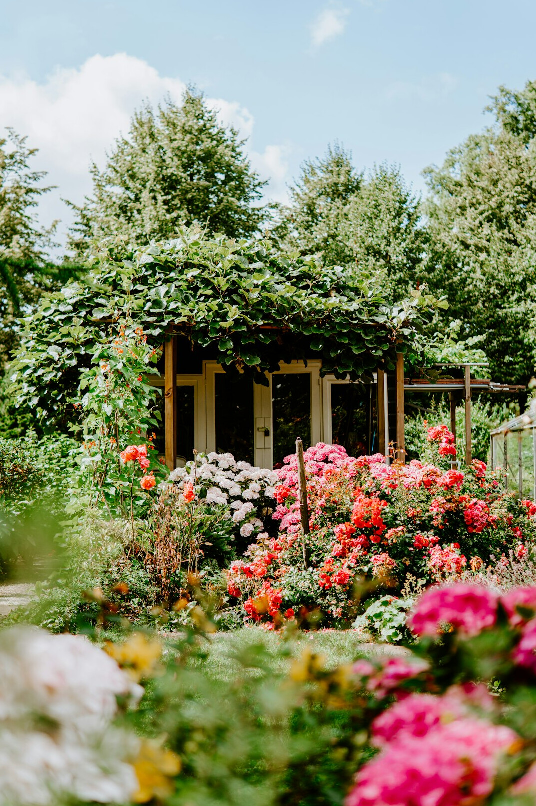 Bright summer garden with blooming flowers