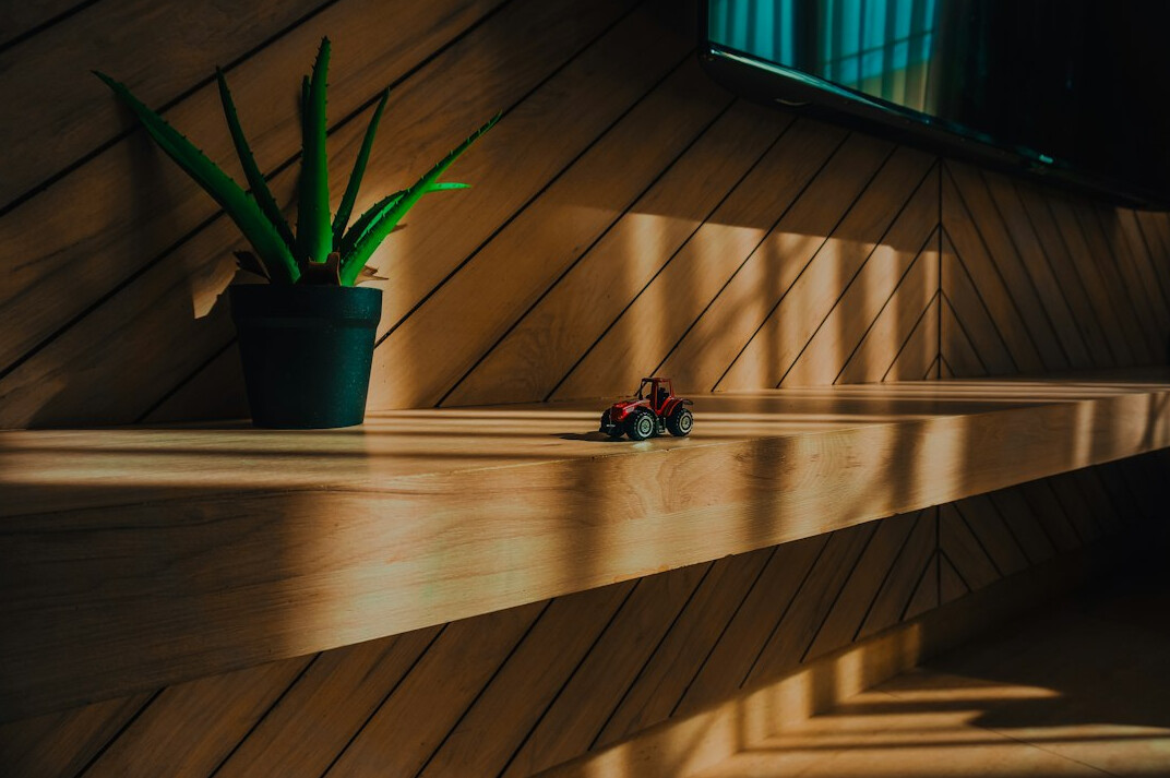 Indoor plants on a wooden shelf next to a bright window