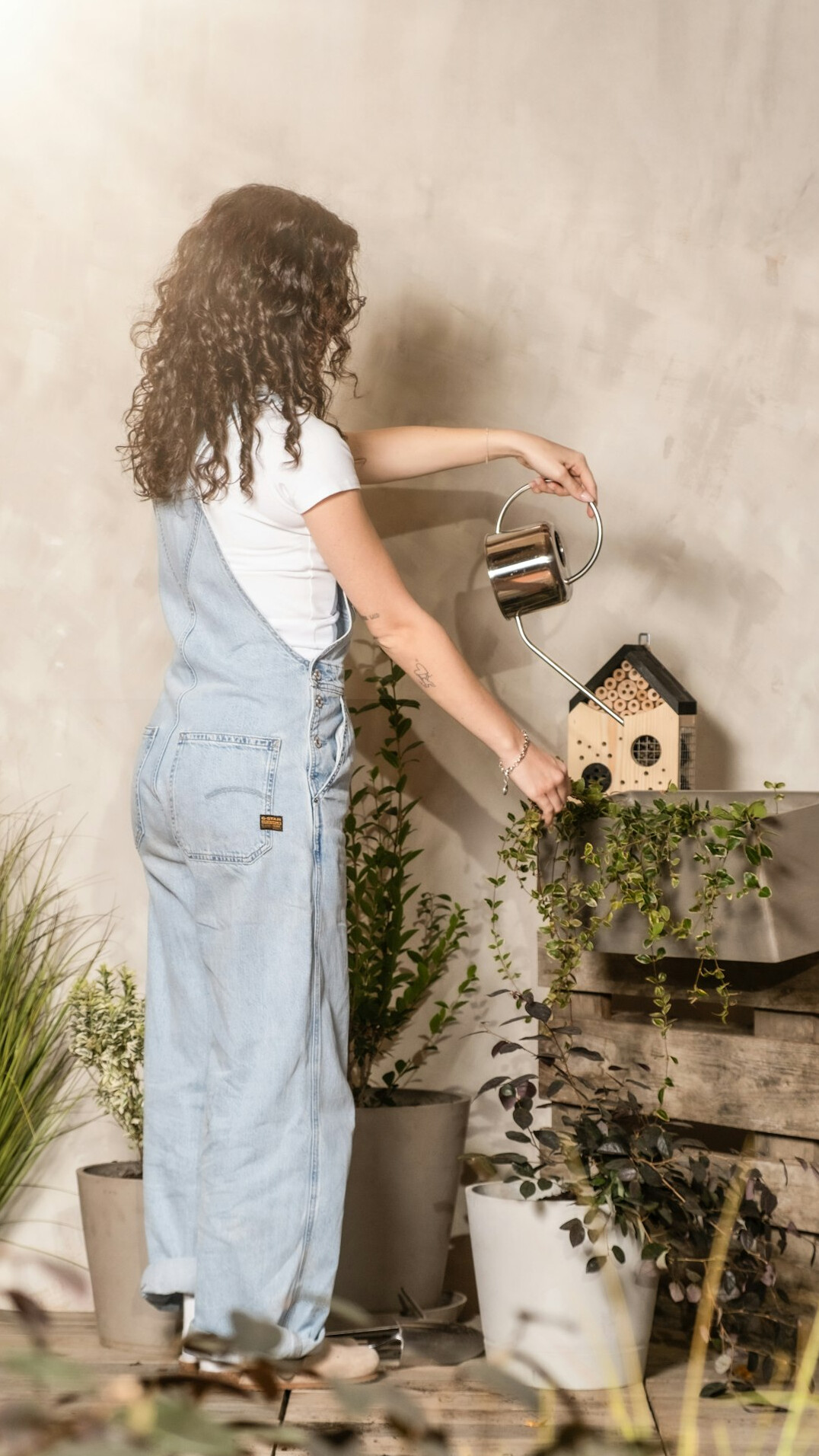 woman watering indoor plants