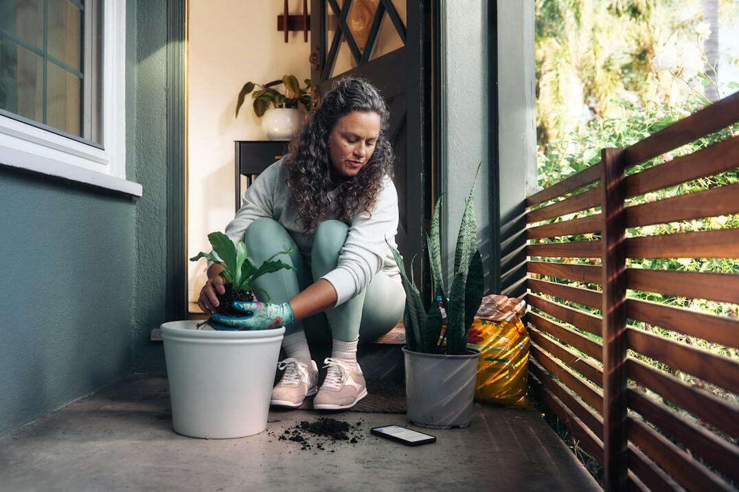 woman watering indoor plants