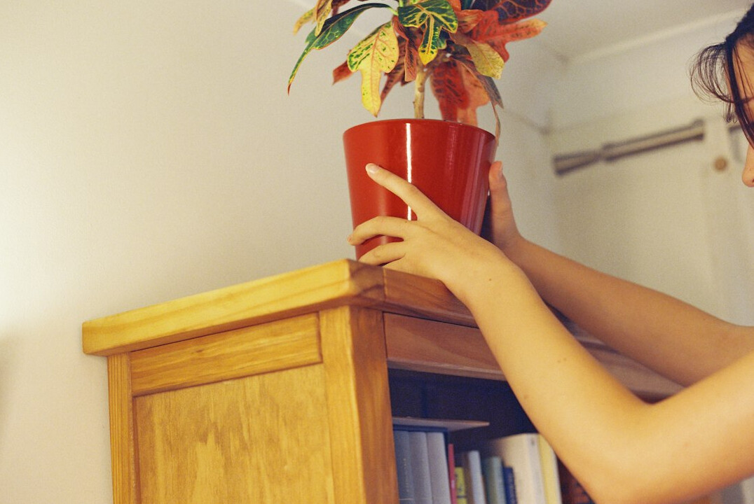 kids watering houseplants