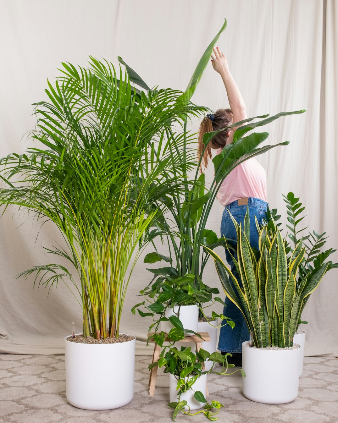 family planting indoor plants