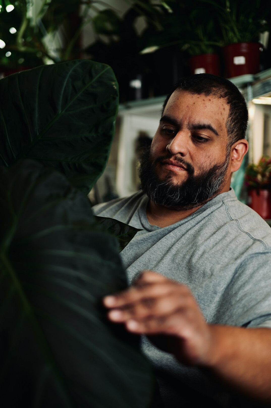 family enjoying plants at home